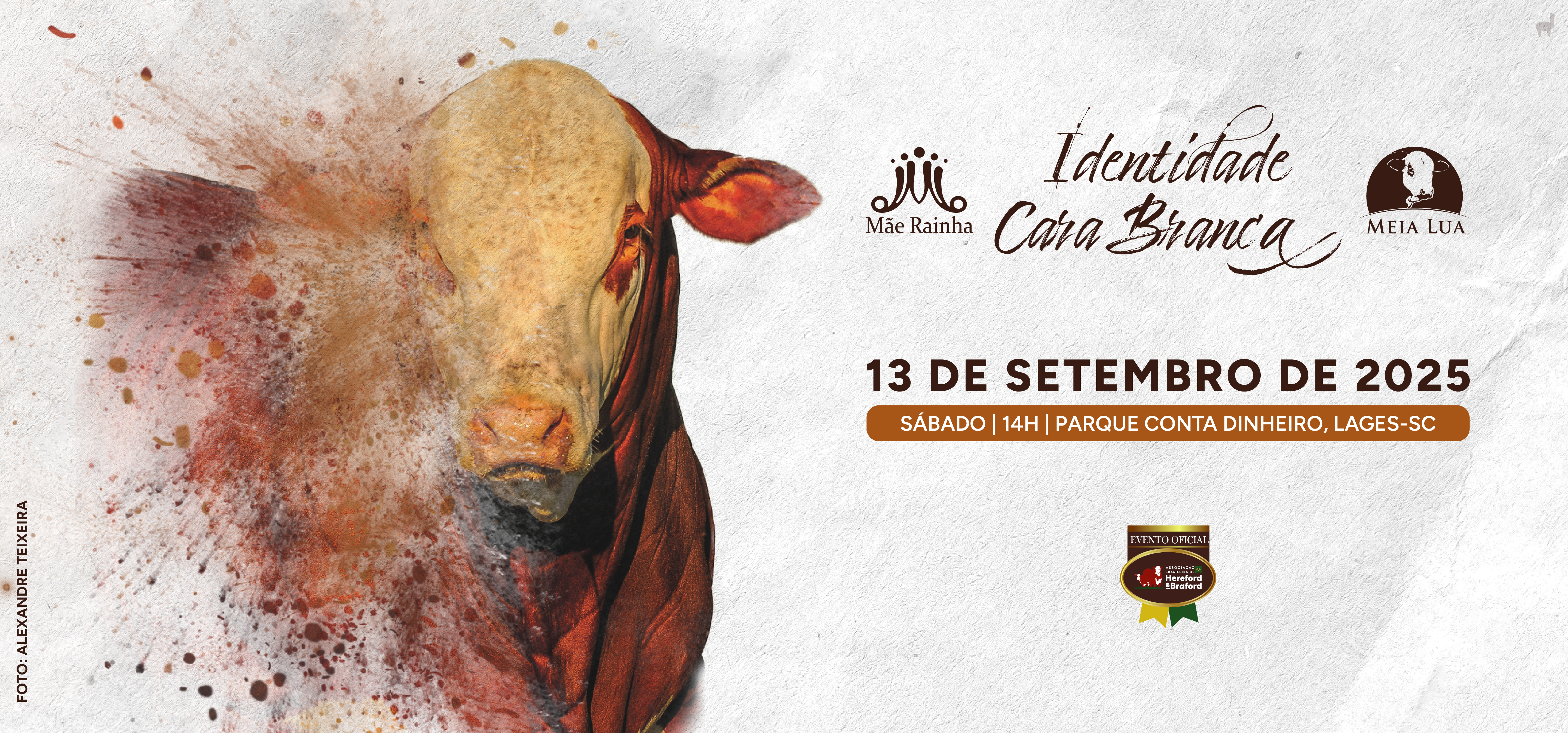 14º Leilão Identidade Cara Branca