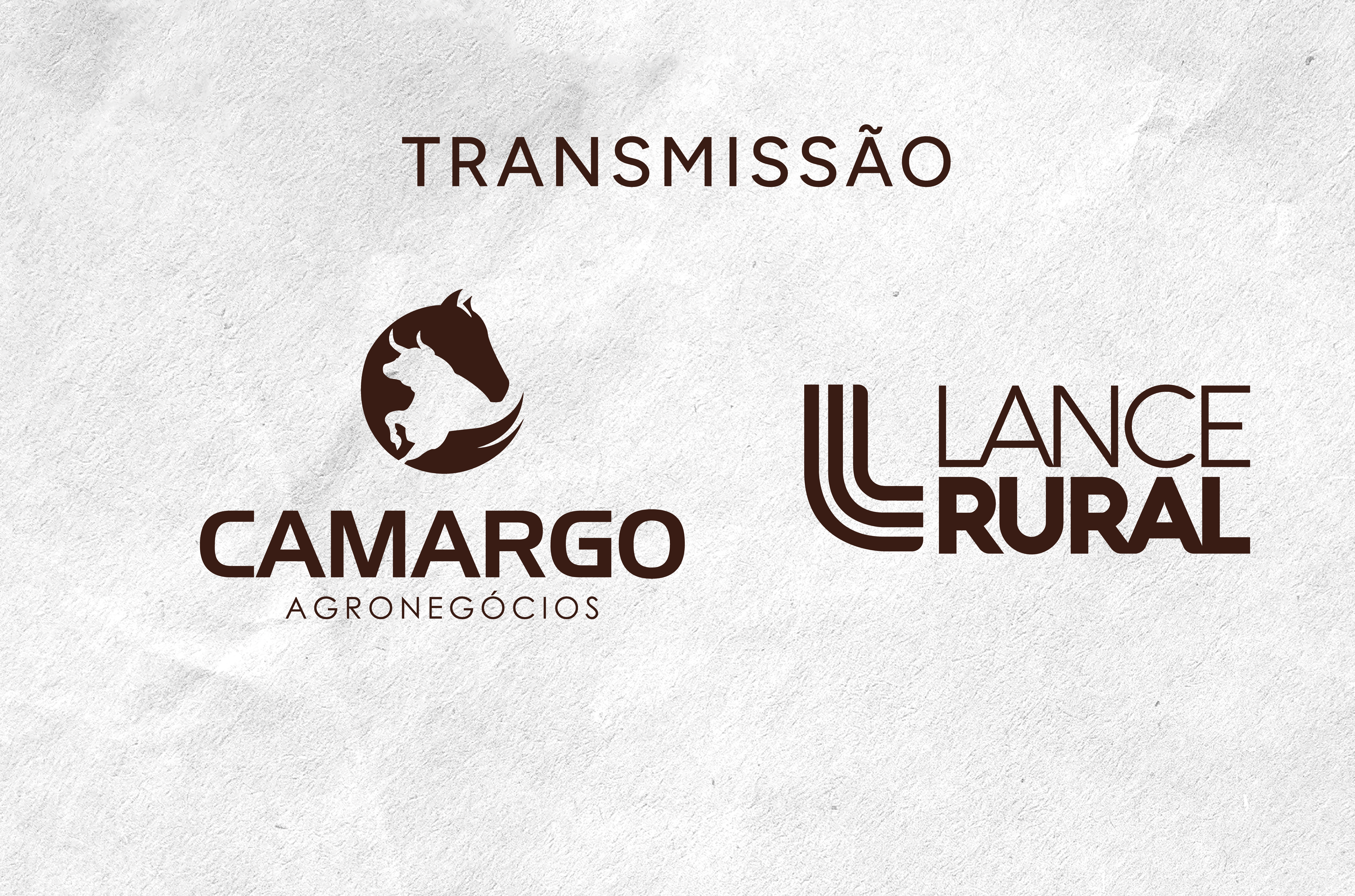 Principais informações
